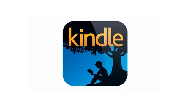 Как оплатить книги для Kindle в Amazon из России в 2026 году
