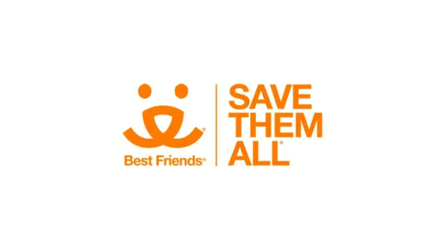 Как пожертвовать Best Friends из России в 2026 году