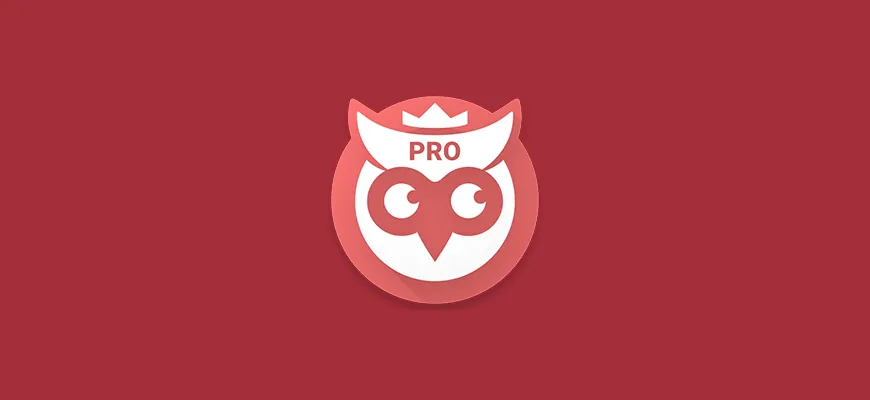 Как оплатить Numbuster PRO из России в 2026 году
