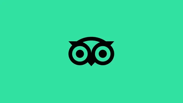 Как оплатить TripAdvisor из России в 2026 году