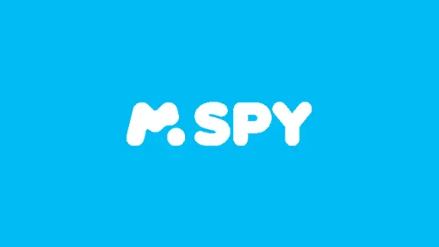 Как оплатить mSpy из России в 2026 году