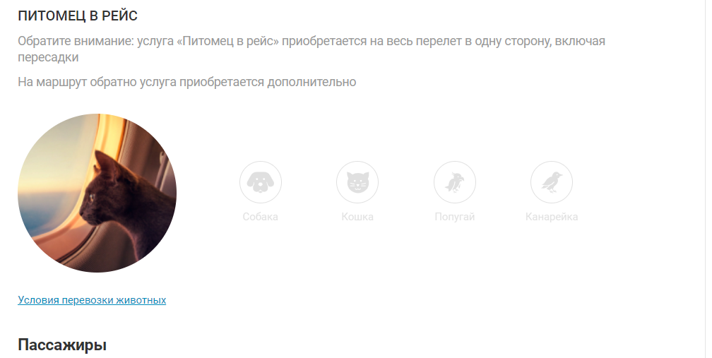 Заказ билета_12.png