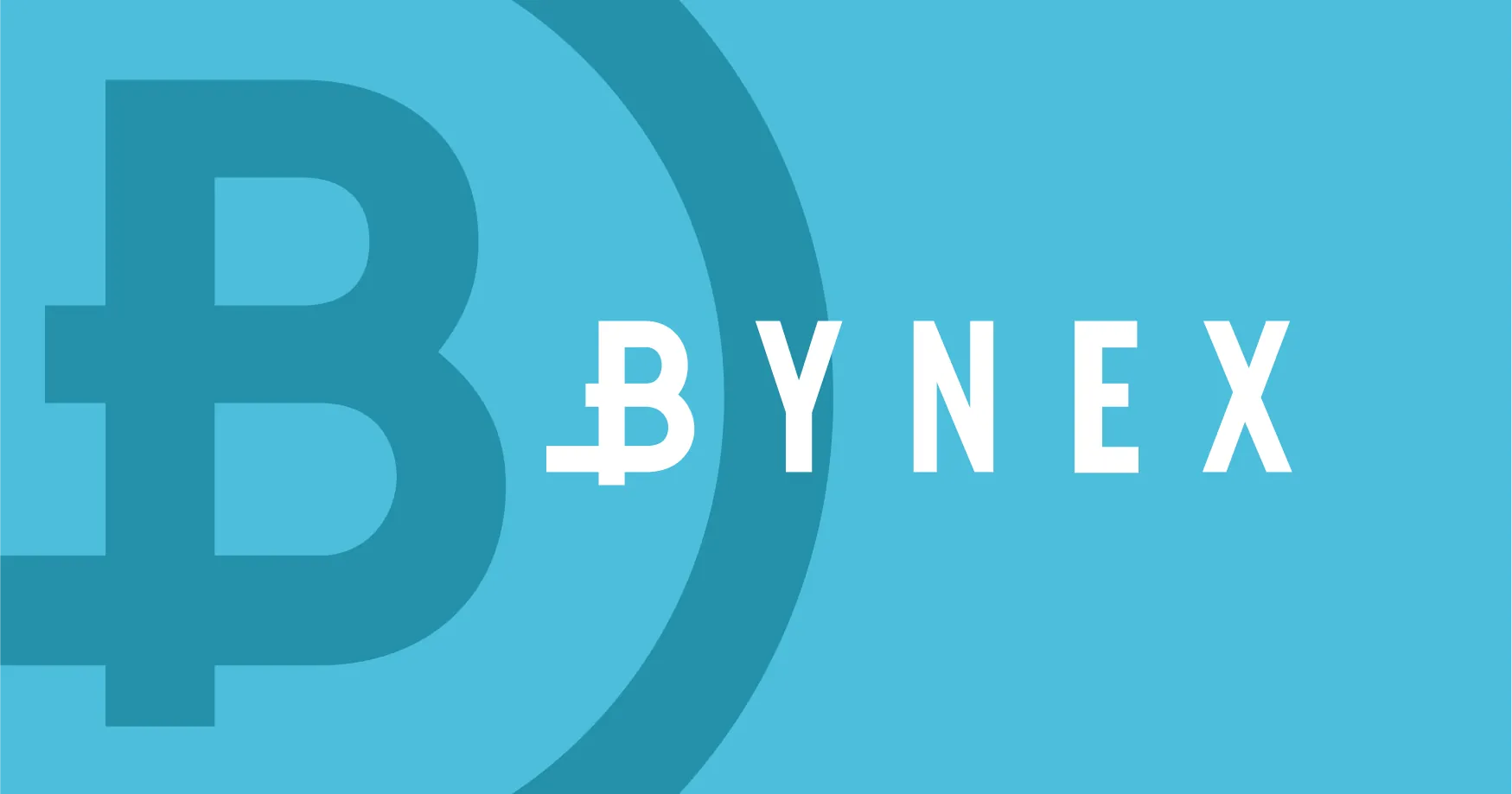 Bynex логотип