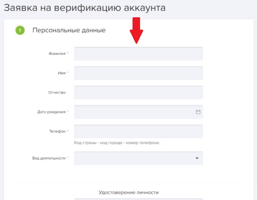 верифик.JPG