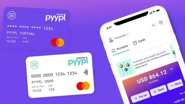 Что можно оплачивать через PYYPL? (Сервис временно закрыт)