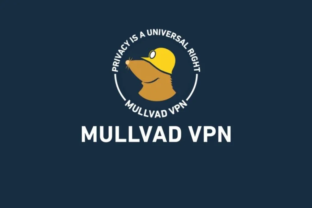 Как оплатить Mullvad Vpn из России в 2026 году