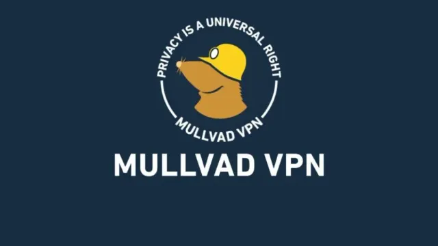 Как оплатить Mullvad VPN из России в 2026 году