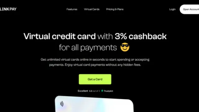Обзор сервиса LinkPay в 2026 году