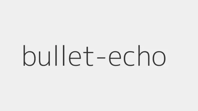 Как оплатить Bullet Echo из России в 2026 году